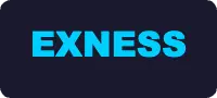 Exness logo